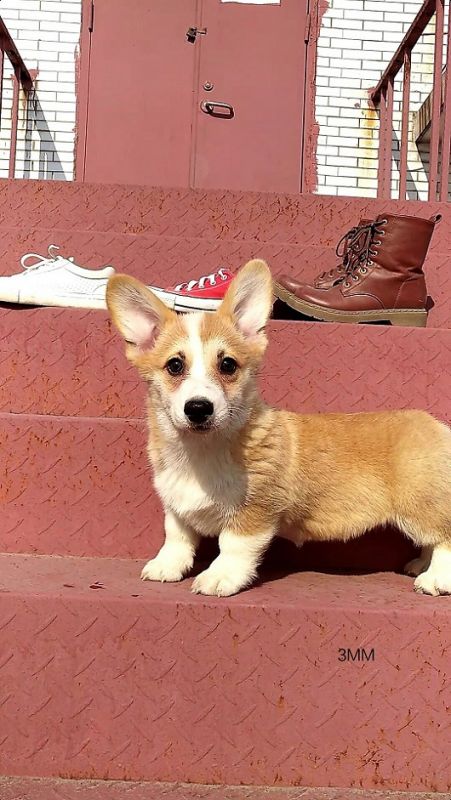 QQ图片20171227102230 (2).jpg