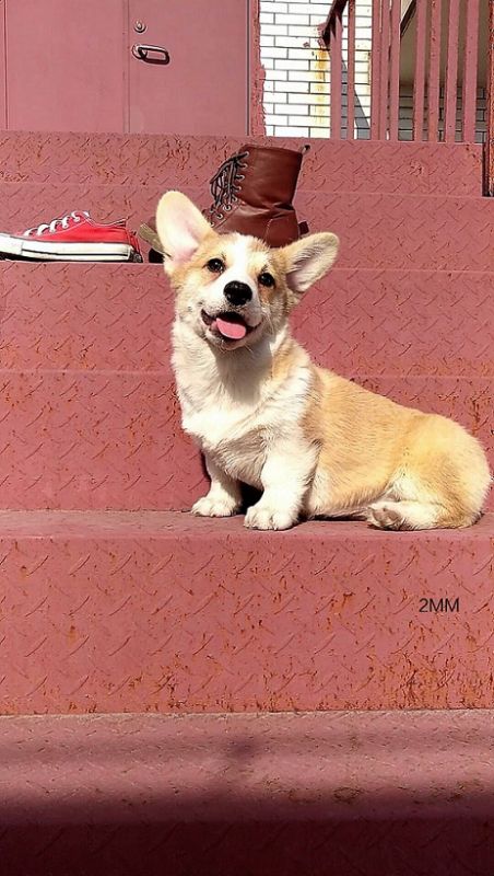 QQ图片20171227102234 (2).jpg