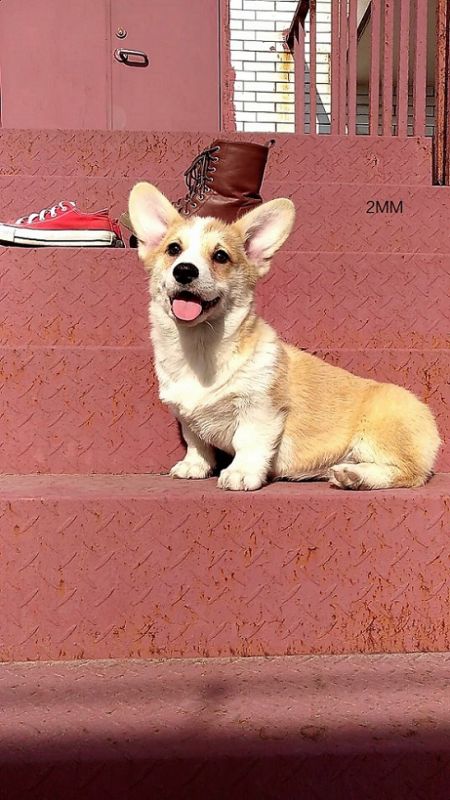 QQ图片20171227102314 (2).jpg