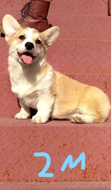 QQ图片20171227102125_LI.jpg