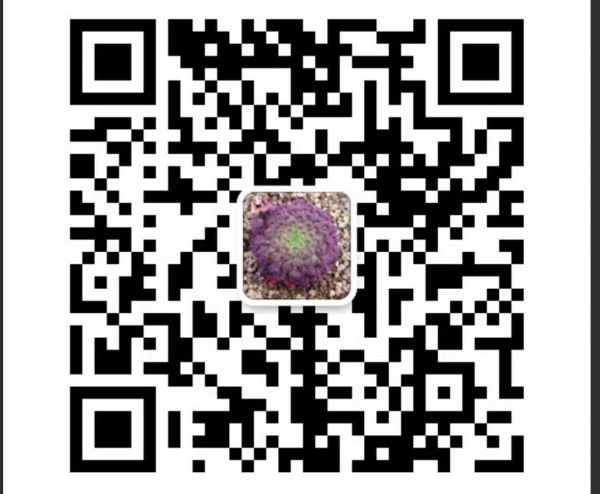 QQ图片20171227105528.jpg