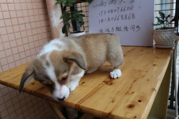 IMG_6708_副本.jpg