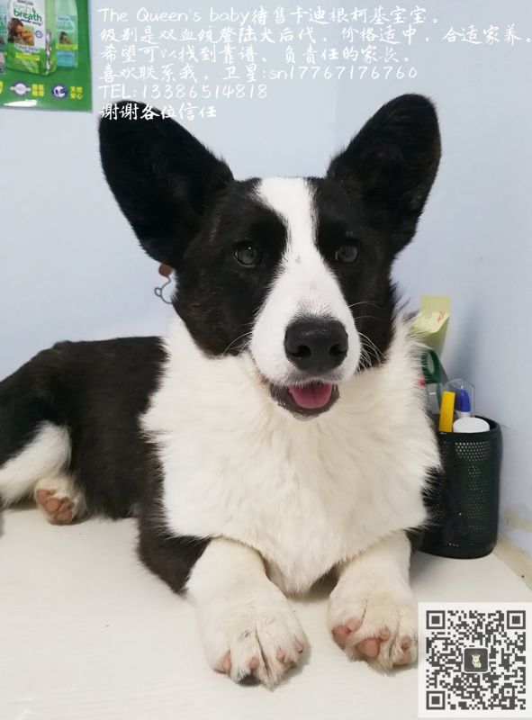 微信图片_20171228121340.jpg