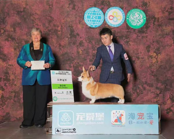 狗爸爸