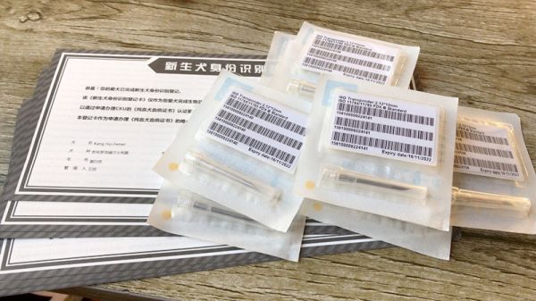 出生纸+芯片