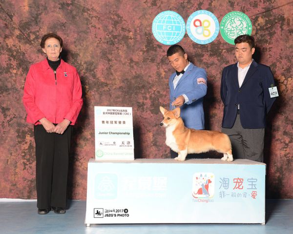 闪电青年登陆_副本.jpg