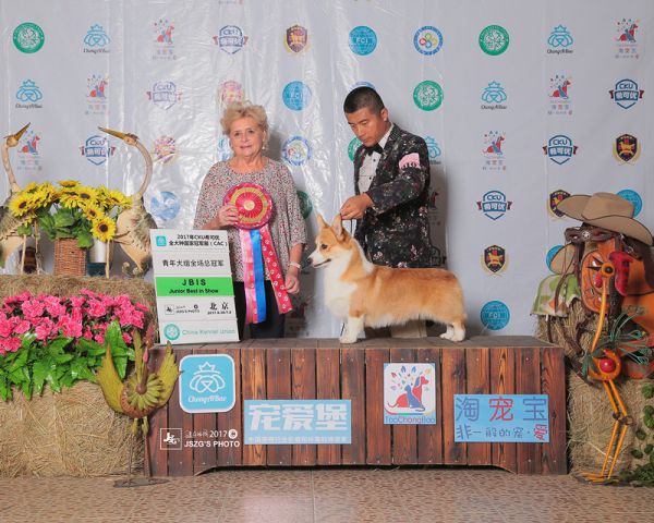2017赏励照IMG_5917_副本.jpg