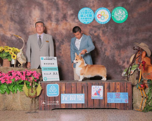 2017赏励照IMG_5924_副本.jpg