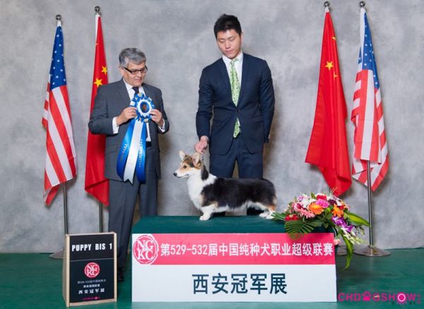 母亲八月