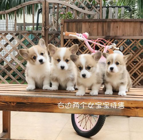 QQ图片20180102100256.jpg