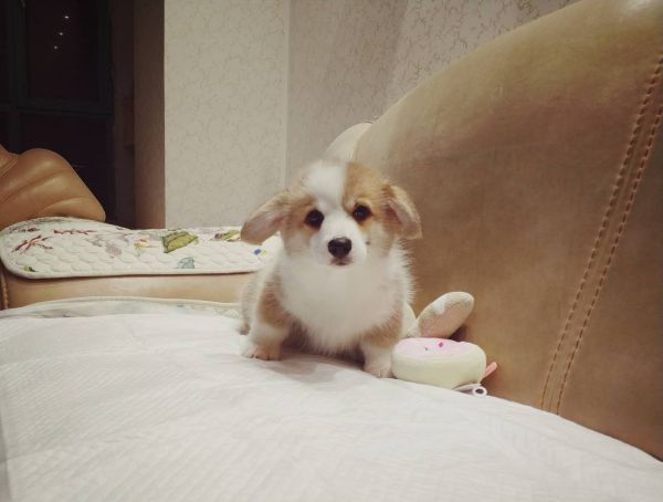 微信图片_20180102143416.jpg