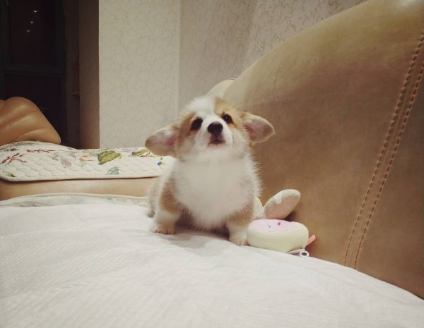 微信图片_20180102143411.jpg