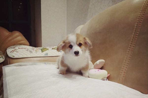 微信图片_20180102143406.jpg