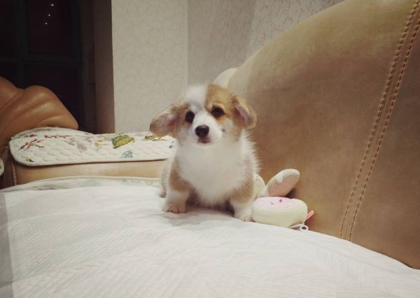 微信图片_20180102143349.jpg