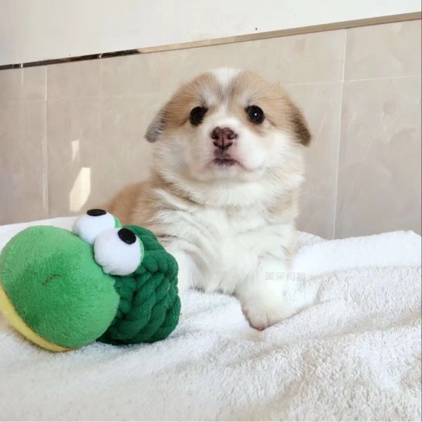 微信图片_20180102145158.jpg