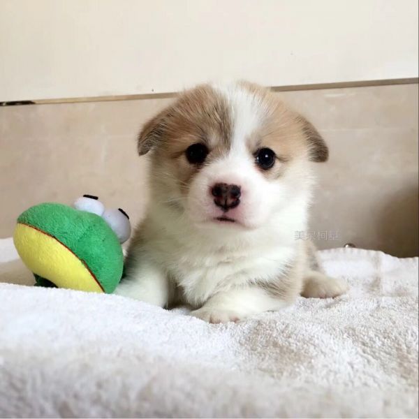 微信图片_20180102145207.jpg