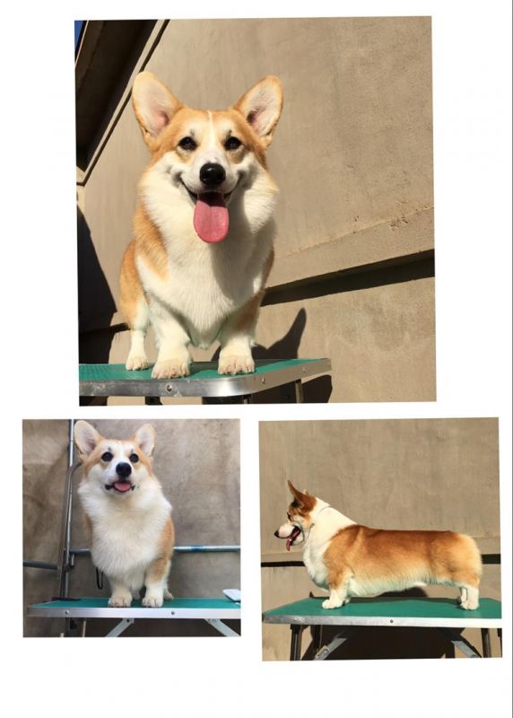 微信图片_20180102145633.jpg