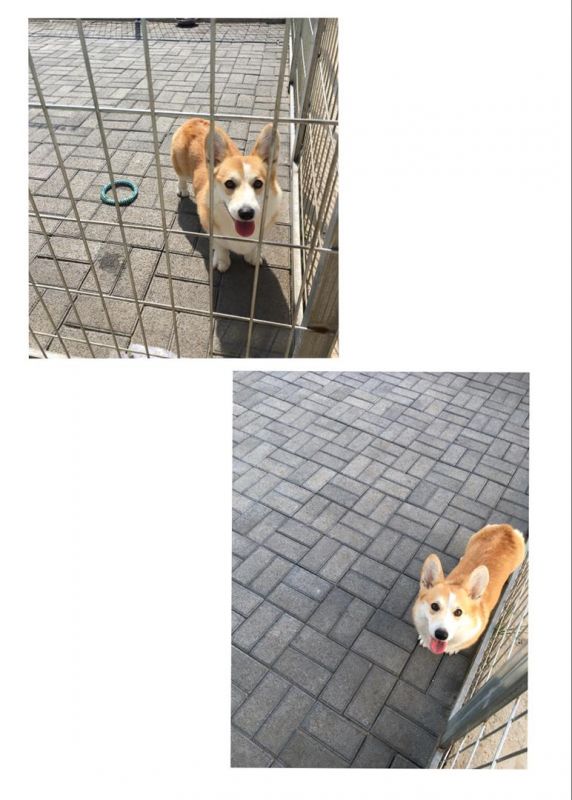 微信图片_20180102145827.jpg