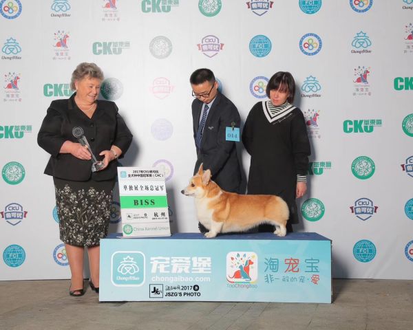 小太阳.JPG