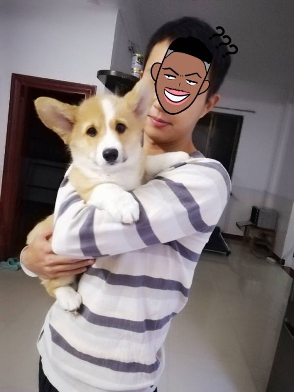 QQ图片20180103090343.jpg