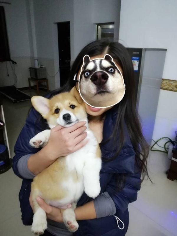 QQ图片20180103090328.jpg