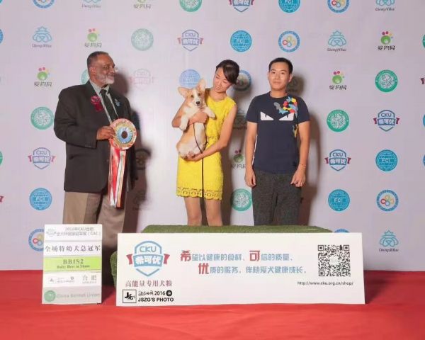 QQ图片20180104115358.jpg
