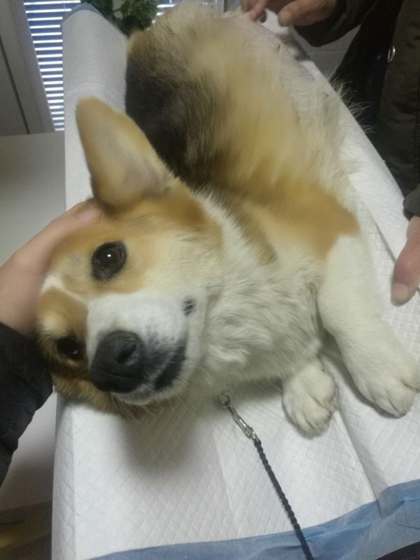 QQ图片20180104115418.jpg