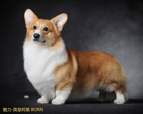 QQ图片20180104091002.jpg