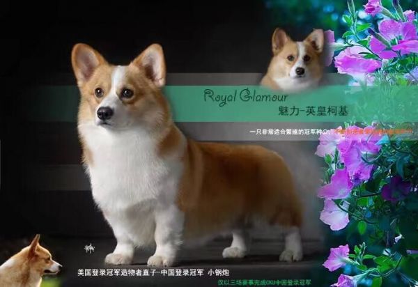 QQ图片20180104091011.jpg