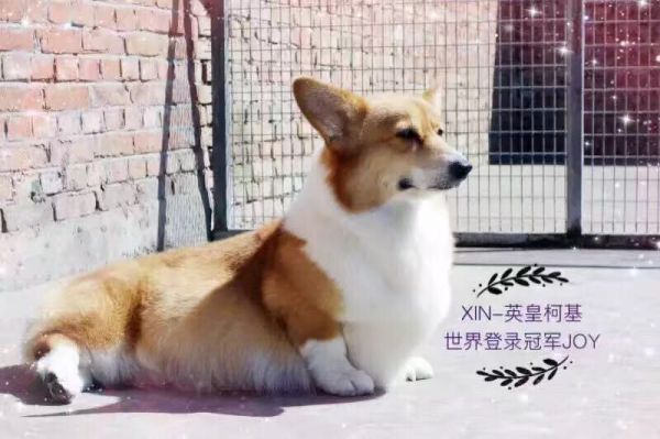 QQ图片20180104091015.jpg