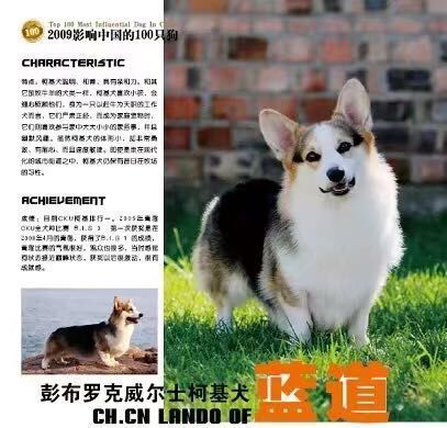 QQ图片20180104091019.jpg
