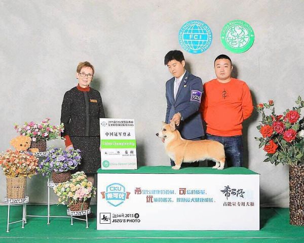 QQ图片20180104091024.jpg