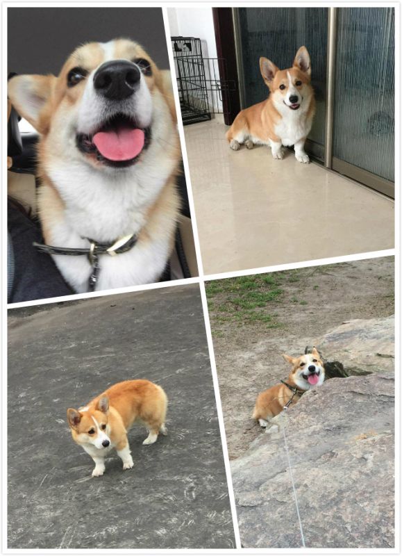 可可.jpg