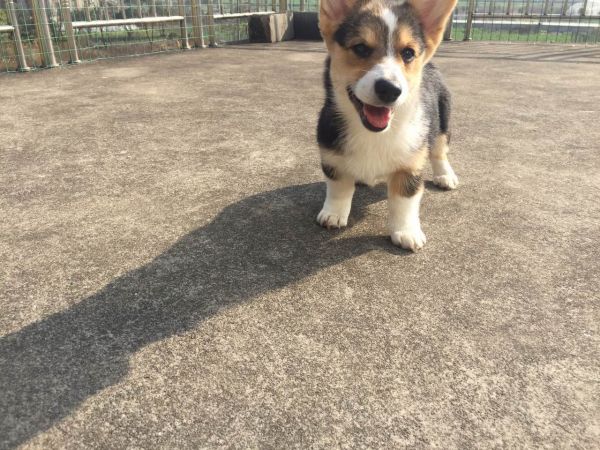 WechatIMG111.jpeg