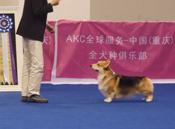 一只耳1.jpg