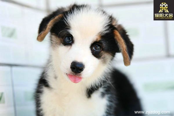 DSC_4618_副本.jpg