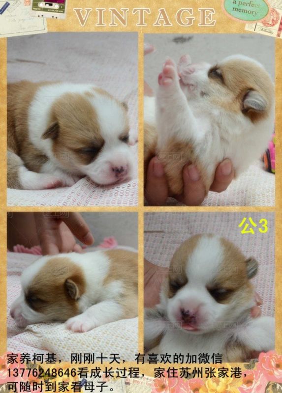160930enet1s9e94pe2qvf.jpg.thumb.jpg