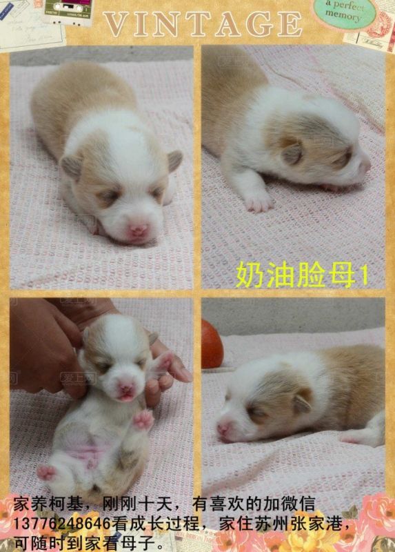 160933kycwmbbp8z7c7wwc.jpg.thumb.jpg