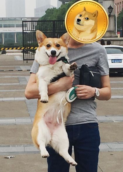 妈妈oly