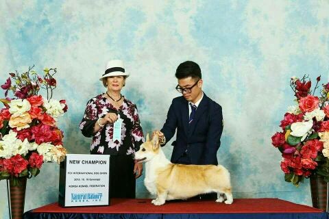 1481464863965 -889829316.jpg