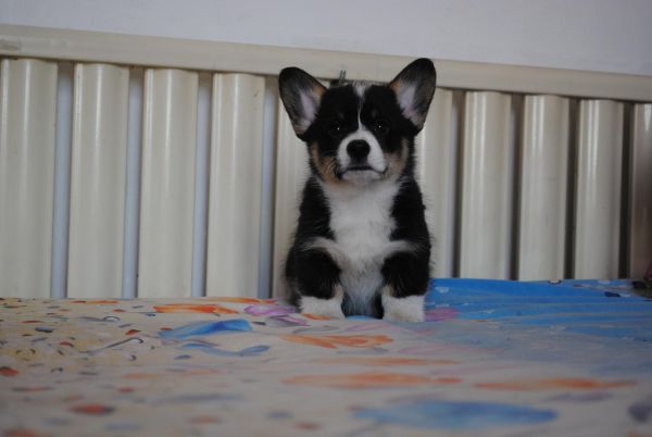 照片 174.jpg