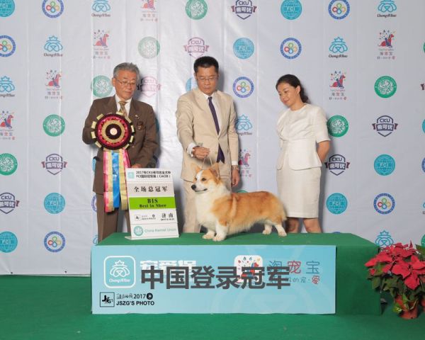 顿顿BIS1.jpg