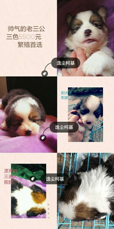 熊三.JPG