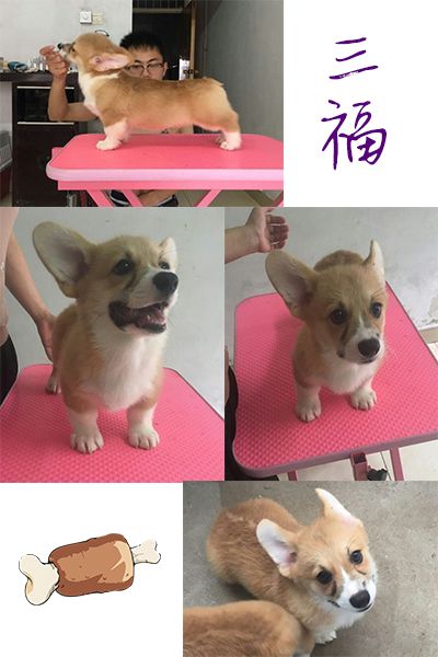 三福