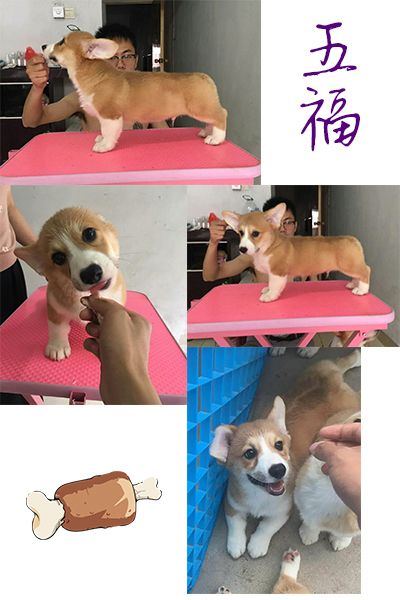 五福