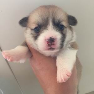 调整大小 旋转 zhaopian6.2811 002.jpg