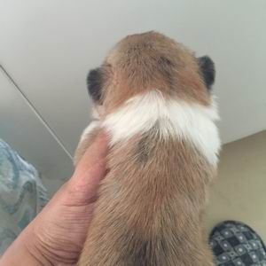 调整大小 旋转 zhaopian6.2811 003.jpg