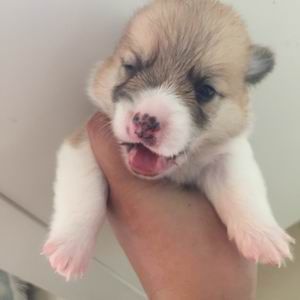 调整大小 旋转 zhaopian6.2811 004.jpg