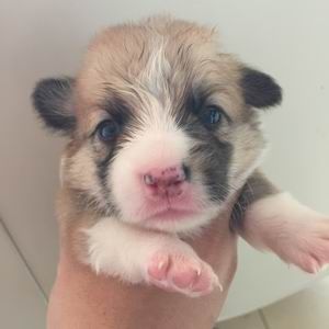 调整大小 旋转 zhaopian6.2811 005.jpg