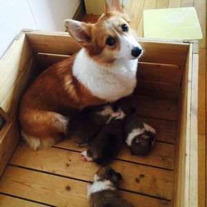 调整大小 zhaopian6.2811.jpg